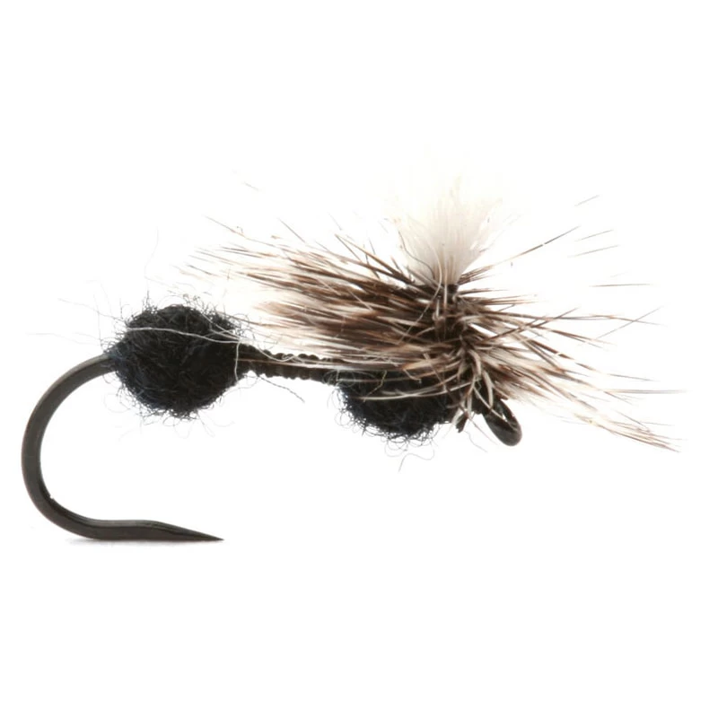 Parachute Ant Maur Tørr - 14 1 Parachute Ant Maur Tørr - 14