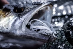 Quantum 4Street Chatter 8 Quantum 4Street Chatter -Pêche Série Magasin 22 3139104r 4