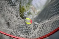 Magic Trout Bloody Big Blade 3,5cm, 2,6g 5 Magic Trout Bloody Big Blade 3,5cm, 2,6g -Pêche Série Magasin 22 3364008r 3