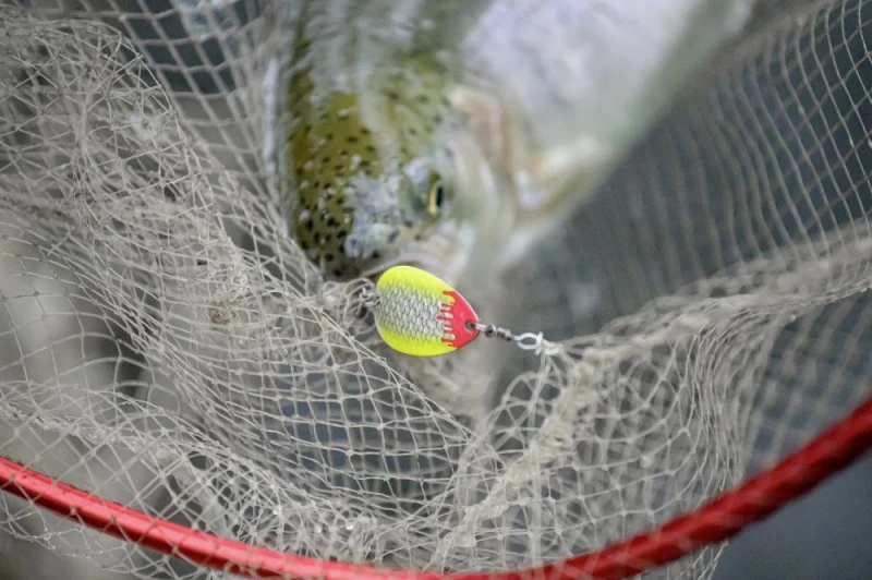 Magic Trout Bloody Big Blade 3,5cm, 2,6g 3 Magic Trout Bloody Big Blade 3,5cm, 2,6g – Image 3