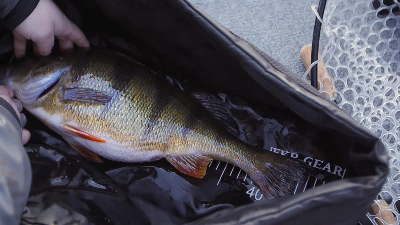 FKP-Gear Perch Station 5 FKP-Gear Perch Station – Image 5