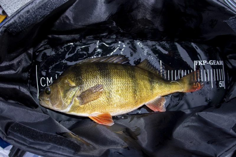 FKP-Gear Perch Station 6 FKP-Gear Perch Station – Image 6