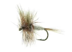 March Brown Brown TMC 100 #12