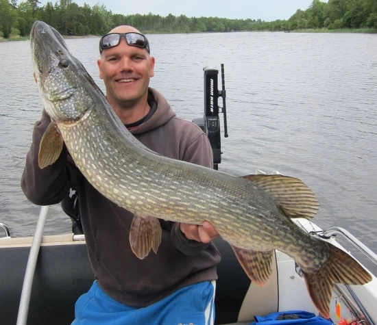 Rad Dog Spinnerbait - Ruff Tackle 2 Rad Dog Spinnerbait - Ruff Tackle – Image 2