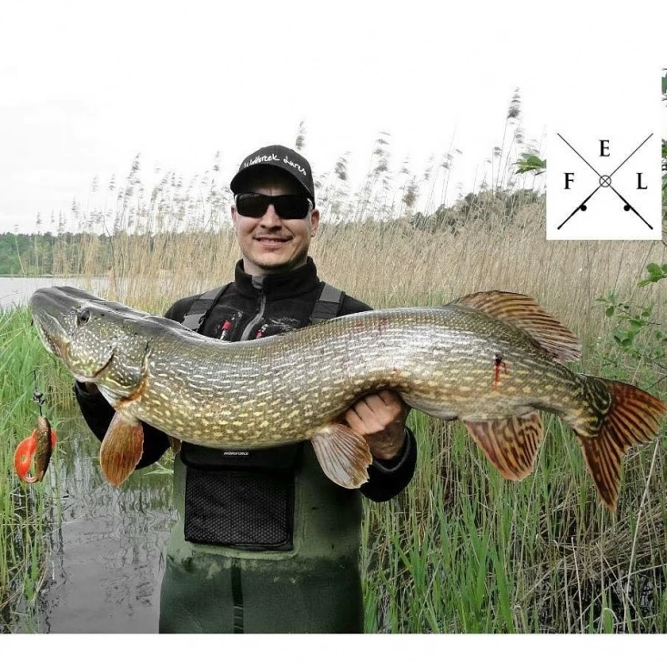 Eastfield Wingman Curly 23cm, 77g 2 Eastfield Wingman Curly 23cm, 77g – Image 2