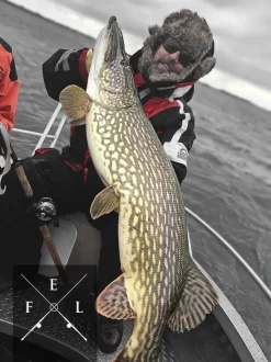 Eastfield Wingman Curly 23cm, 77g 7 Eastfield Wingman Curly 23cm, 77g -Pêche Série Magasin wingman curlr 3