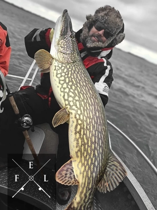 Eastfield Wingman Curly 23cm, 77g 3 Eastfield Wingman Curly 23cm, 77g – Image 3